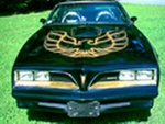 Bandit Rich's Black Y88! His files were lost in a computer crash, but we found one of his pictures online elsewhere. Rich promises to take more pictures later after winter. His Trans Am was a '78 gold Y88, and he converted it to the classic '77 Black and Gold look!