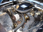 Engine bay- the prev. owner had certain components painted gold, and added tall Moroso gold valve covers.  Those are gone soon.