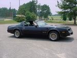 Bandit R Side