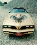 Here's a Pontiac 1978 Trans Am promotion photo.  This Trans Am has the gold grilles, the SE striping, the Y88 only hood bird,... BUT it also has a red nose emblem and a BLACK steering wheel.