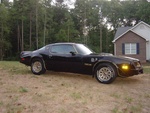 Trans Am 007