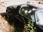more pictures of it...The t-tops werent even on it the had just left them laying inside it ...for All the leaves to get in