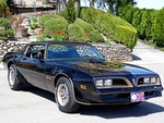 My 78 Bandit