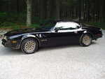 77  trans am 002