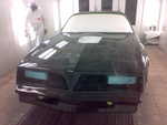 20042009884