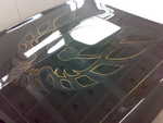 20042009885