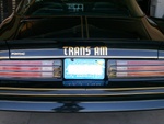 LE rear end shot. Thanks Adam for doing the photo shop eraser.