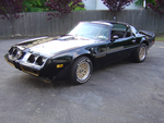 Y84 Hurst 4 Speed Bandit