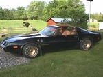 TA198003