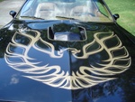 phoenix rising