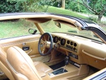 "C'mon Sally, get in"
