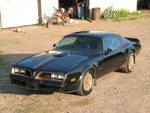 The super rare "Blackbird" edition!