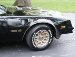 When I was a kid, I went with my Dad to look at a special edition TA.  I remember seeing the Germanic lettering and thinking it was the coolest thing I ever saw.  I've wanted one ever since.  I finally got mine last spring and had a blast with it zooming thru the cornfields on the twisty 2-lane blacktop roads out here.