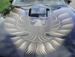 1128217456030_79_trans_am_blk_038