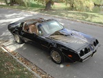 1128800087014_79_trans_am_blk_048