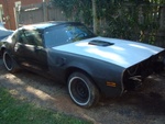 fenders and hood on