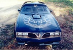 transam5