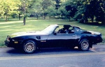 transam6