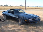 Trans am1