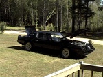 Picture 005