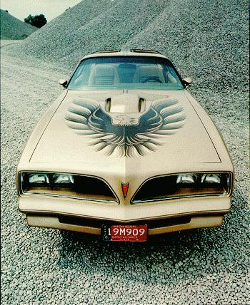 Here's a Pontiac 1978 Trans Am promotion photo.  This Trans Am has the gold grilles, the SE striping, the Y88 only hood bird,... BUT it also has a red nose emblem and a BLACK steering wheel.