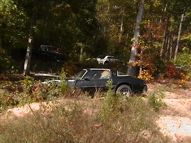 FOR SALE !!!!!!!!!NOW CHECK LAST PICTURES Well here she is...at the junk yard