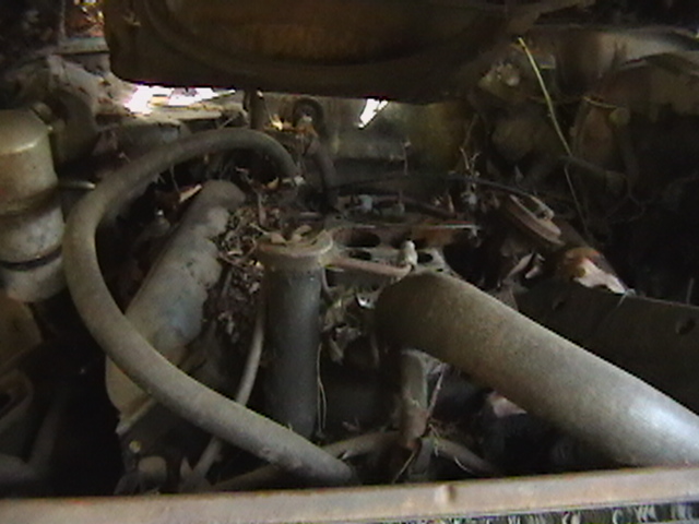 Ragged A** ole 350 olds engine...I am trashing that....It still has the freeze plug missing