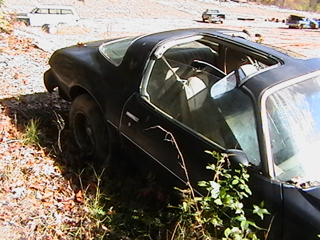 more pictures of it...The t-tops werent even on it the had just left them laying inside it ...for All the leaves to get in