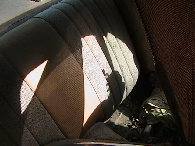 Back seat...Oh yeah its all Doe skin interior...but seems everyone sells Tan carpet and seat covers...not doe skin...Is that the SAME?