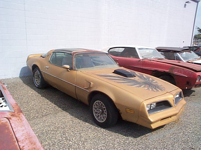 transam2
