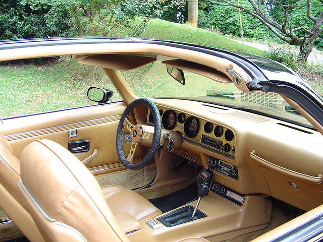 "C'mon Sally, get in"