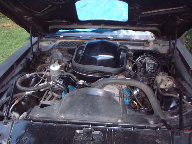 DSCF0007_16