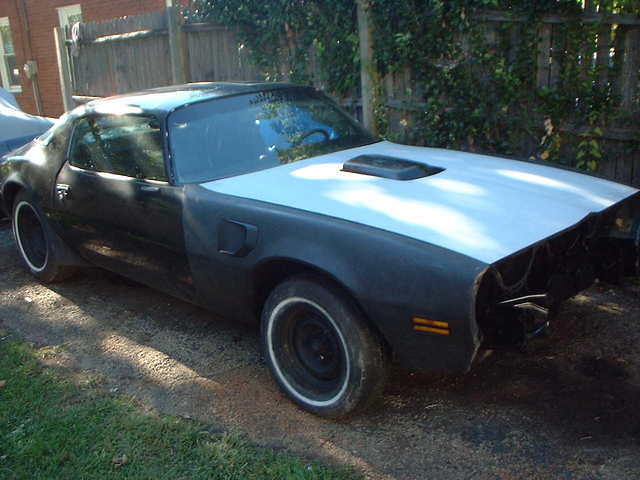 fenders and hood on