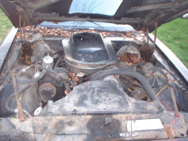 the engine when i first got the car