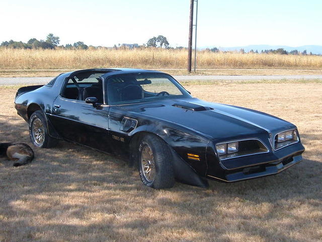 Trans am1