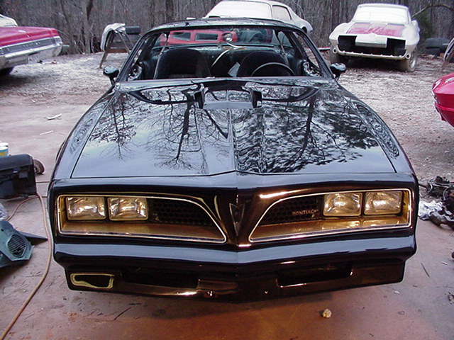 Just from the paint shop, no windshield yet, we set the front grilles in place for the picture. It was an overcast day . . .