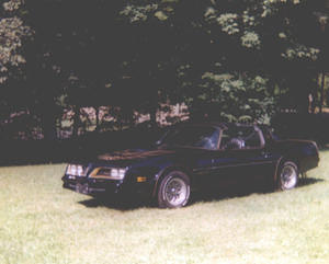 My Y-88