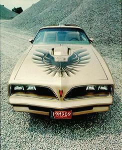 Here's a Pontiac 1978 Trans Am promotion photo.  This Trans Am has the gold grilles, the SE striping, the Y88 only hood bird,... BUT it also has a red nose emblem and a BLACK steering wheel.