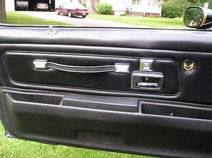 both LH,RH doors with new chrome buckles on the pull straps and gold birds.