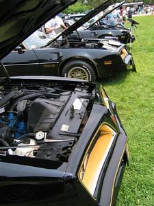 Firebird Nation Show Bandit Lineup Bandit Rich's Car 2nd in Line