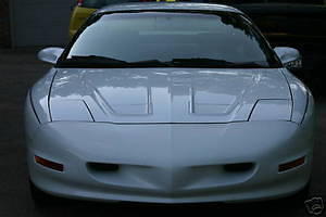 Our 1996 bird
