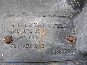 option plate...I cant see anywhere one this plate that it sais 1981? why did they change them? So you cant read them as easy?