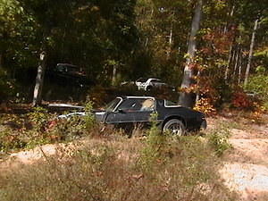 FOR SALE !!!!!!!!!NOW CHECK LAST PICTURES Well here she is...at the junk yard