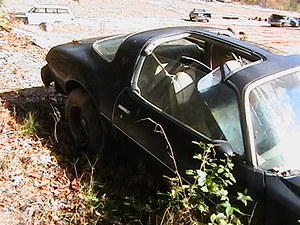 more pictures of it...The t-tops werent even on it the had just left them laying inside it ...for All the leaves to get in