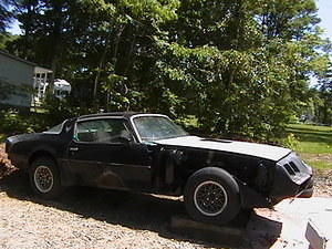 trans am 1981 021