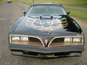 New Decals-From Bird to Pinstriping
   Thank you Susan-Auto Imaging
