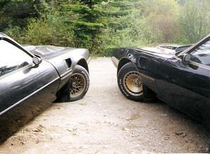 TA opposites