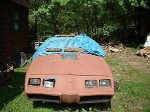 Here is a pic of my car back in Tenn after its 9 month vacation to Panama City were it sat in my mothers yard. What you can't see is the car has no windows or interior.