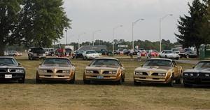 3 Gold Birds among a sea of black.