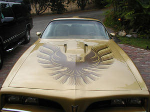 new hood bird decal
